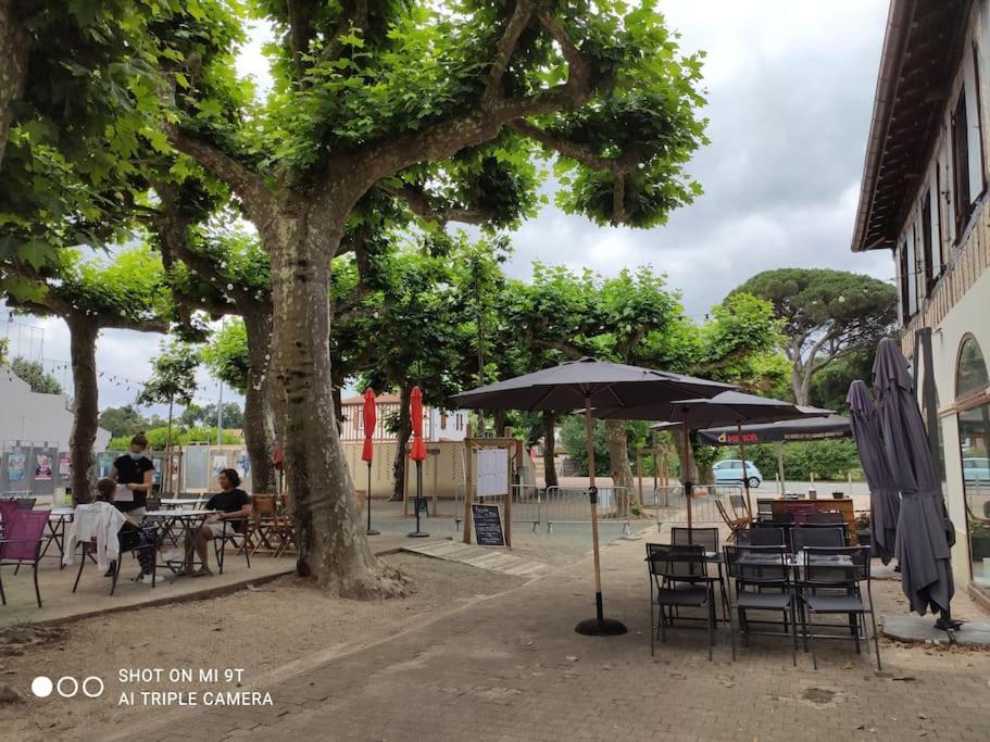 Cosy Green, Ocean, Golf, Piscine, Wifi * Moliets-et-Maa